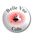 Belle Vue II